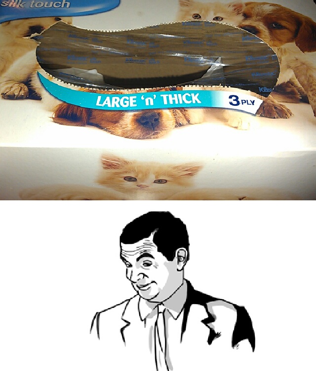 Large AND Thick! - meme