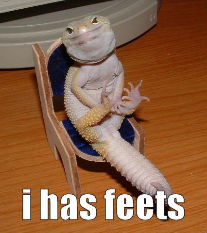 i has feets! - meme