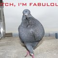 fabulous is actually my go to word.:D