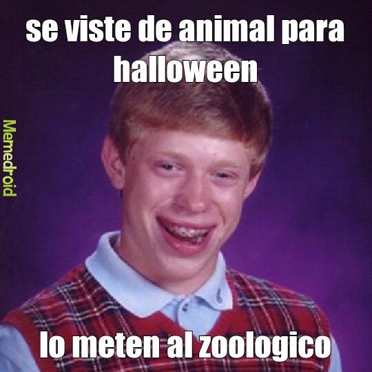 zoologico - meme