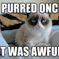 i purred once