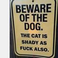 Beware of the ...dog
