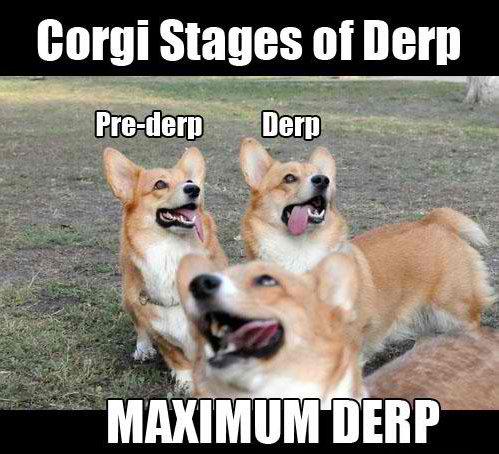 Corgi Deep - meme