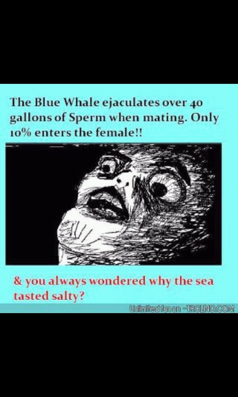 blue whale - meme