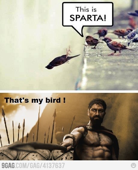 THIS IS SPARTA 