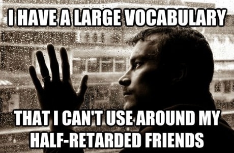 Large vocabulary but retarded friends - meme