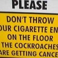 cockroaches get cancer
