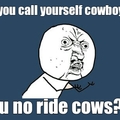 y u called cowboys!?