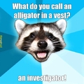 oh mr racoon :p
