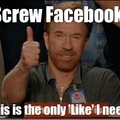 'Chuck Norris liked your status'