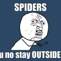 GTFO Spiders