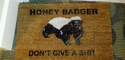honey badger - meme