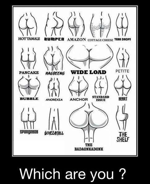 Which is your arse? - meme