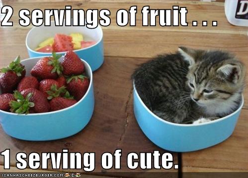 2 fruit 1 cat .-. - meme