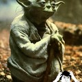 Yoda the troll.