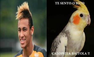 Neymar Calopsita - meme