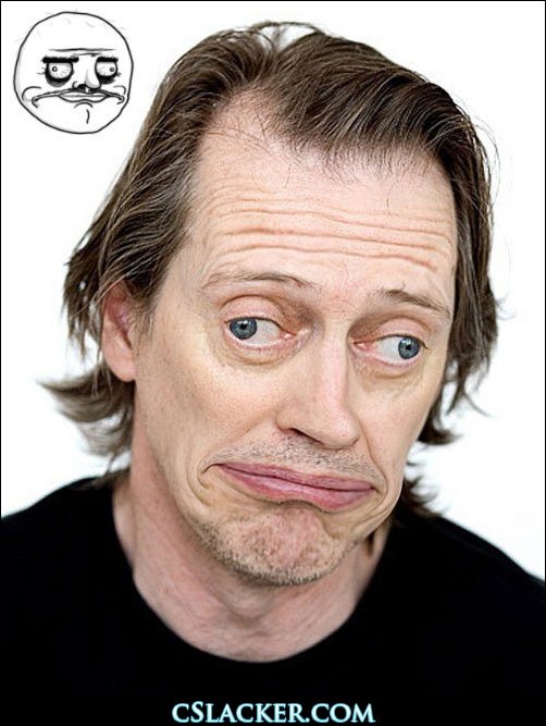 this isn t PhotoShopped Steve buscemi Meme by Smoove Milton