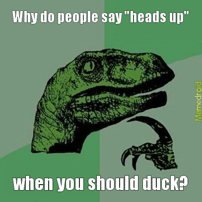 heads up or duck? - meme