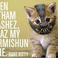 bane kitty