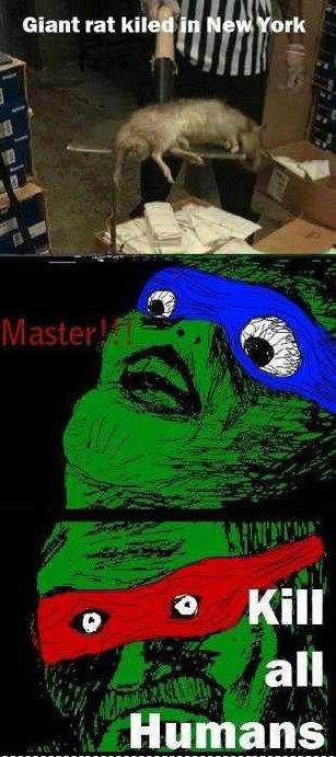 master! - meme