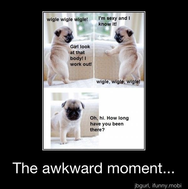 o: LOL. YES WIGGLE IS SPELLED WRONG -O- - meme
