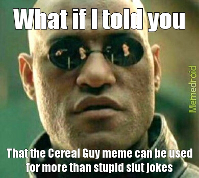 Stupid Slut Jokes - meme