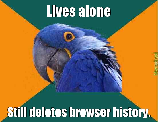 browser - meme
