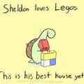 Don't step on the legos Sheldon! <3